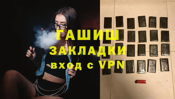 мдпв Новозыбков