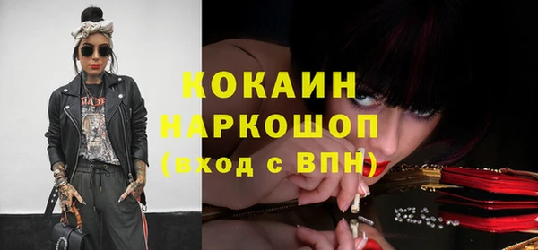 мдпв Новозыбков