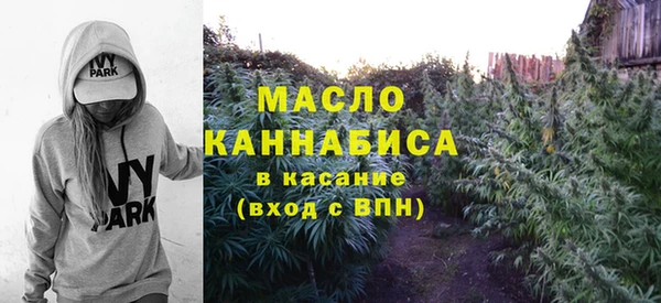 мдпв Новозыбков