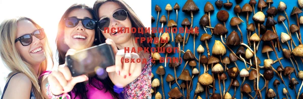 PSILOCYBIN Нефтегорск